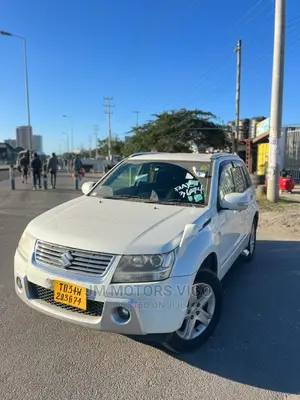 Suzuki Escudo 2006 Pearl