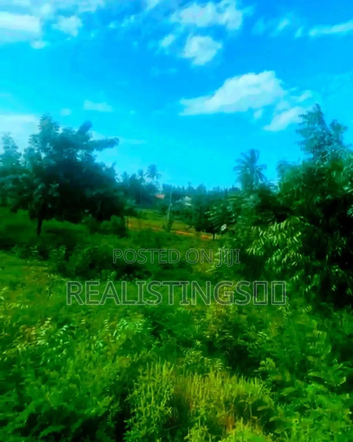 Mbezi Beach, 5+ Acres Land for Sale - Dar