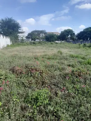 Plot No 150,Sqm 1578 Upanga Kitonga for Sale