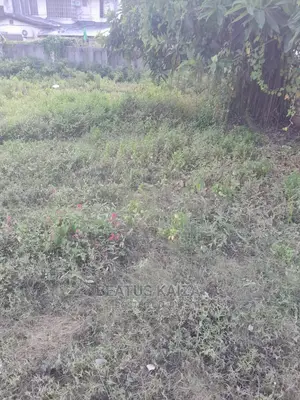 Plot No 150,Sqm 1578 Upanga Kitonga for Sale