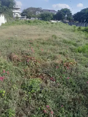 Plot No 150,Sqm 1578 Upanga Kitonga for Sale