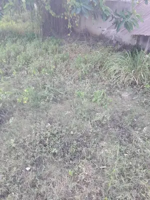 Plot No 150,Sqm 1578 Upanga Kitonga for Sale
