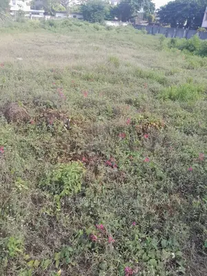 Plot No 150,Sqm 1578 Upanga Kitonga for Sale