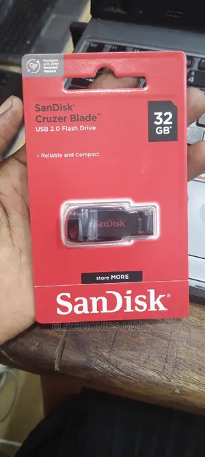 Flash Disk