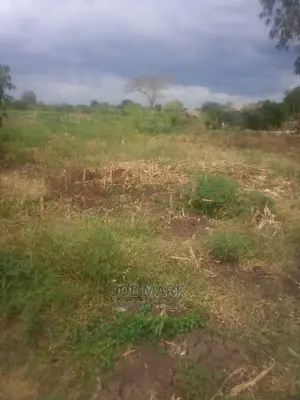 Shamba Linauzwa Bagamoyo