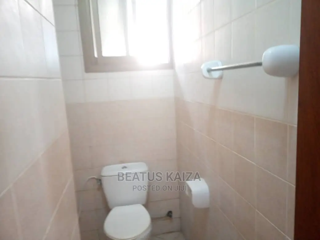 3bdrm Apartment in Lumumba Kariakoo for rent