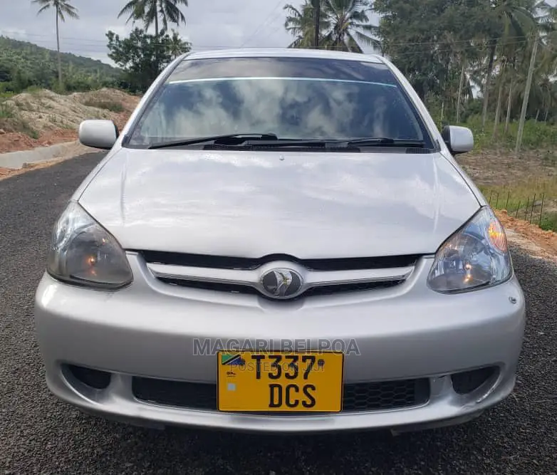 Toyota Platz 2004 Silver