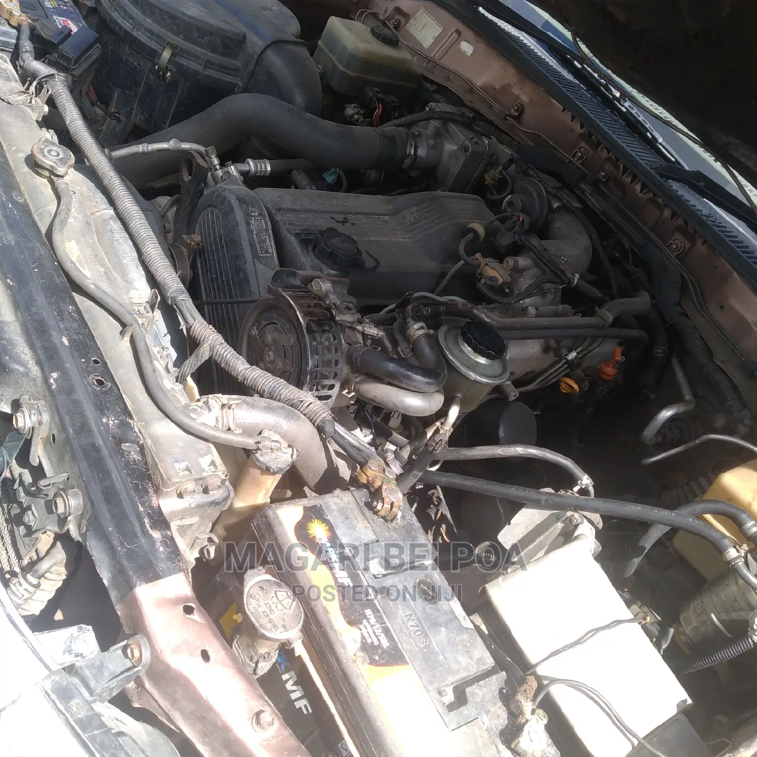 Toyota Land Cruiser 2000 Ivory