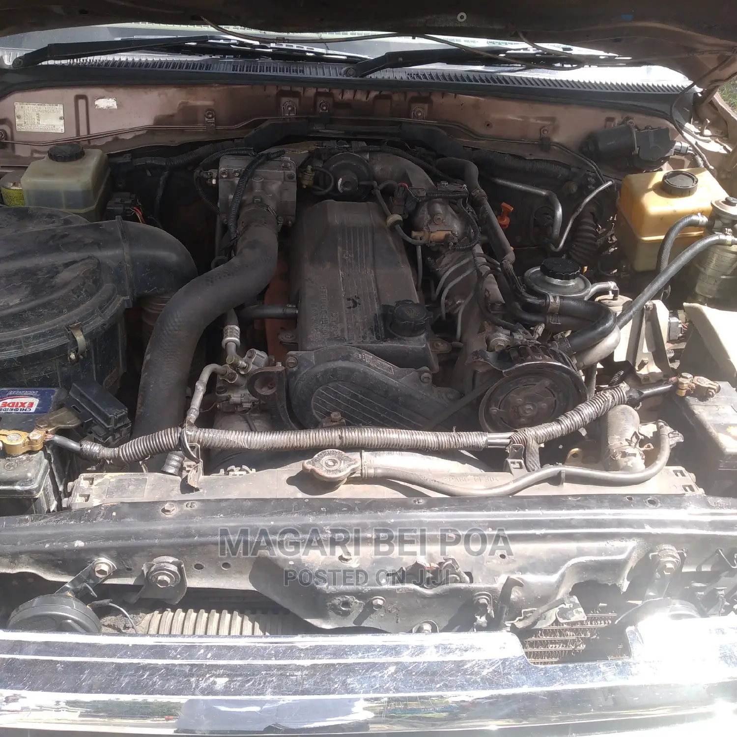 Toyota Land Cruiser 2000 Ivory