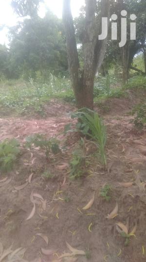 Mixed Use Land For Sale