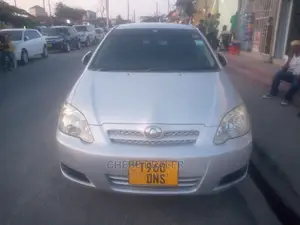 Toyota Allex 2003 Silver