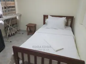 Furnished 3bdrm Block of Flats in Ediba Real Estate, Arusha for rent