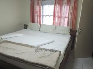 Furnished 2bdrm Block of Flats in Ediba Real Estate, Arusha for rent