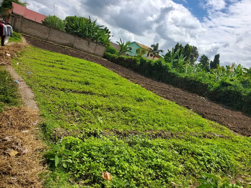 1.5 Acres on Tarmac Road Njiro