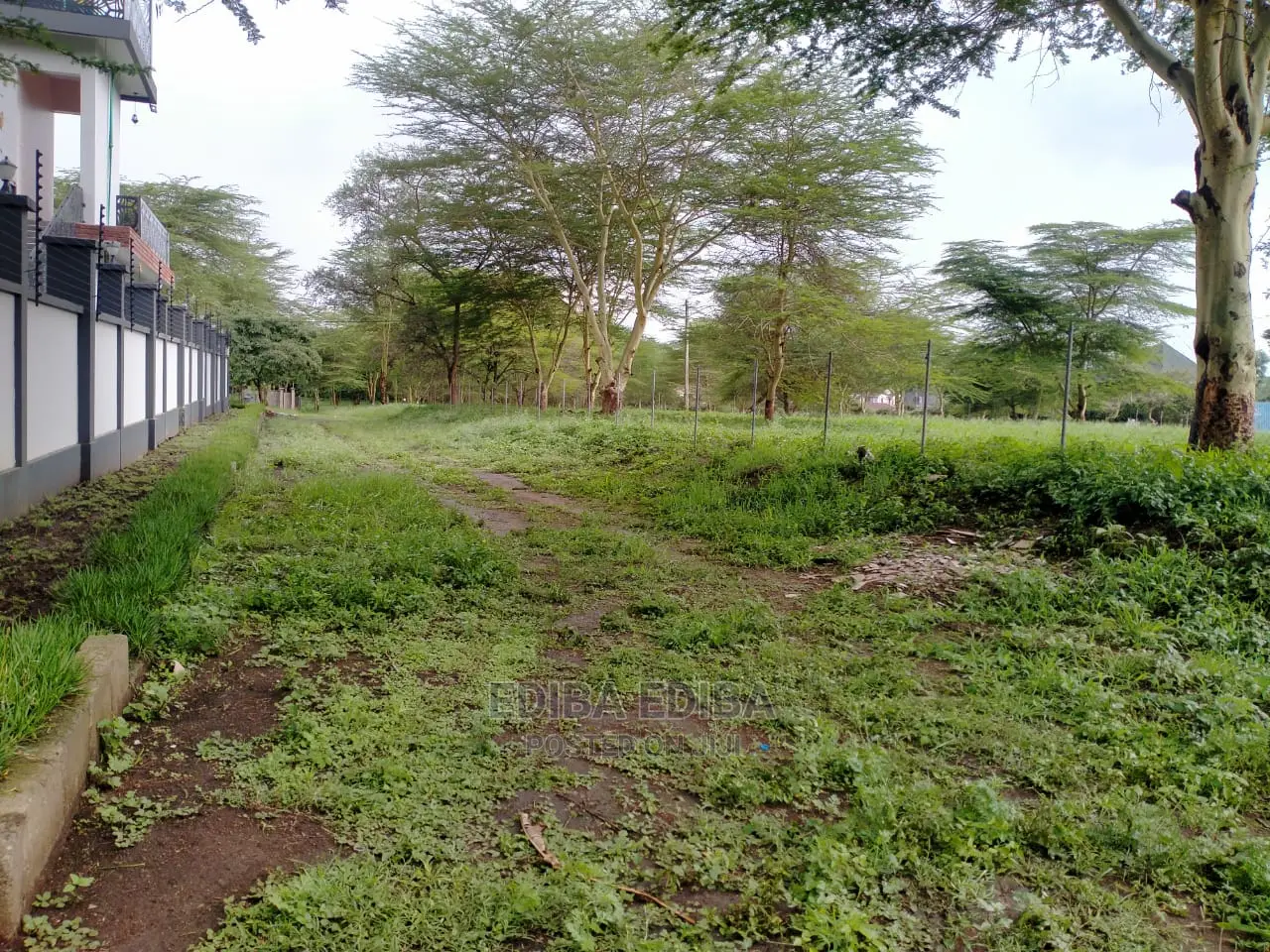 1.5 Acres on Tarmac Road Njiro