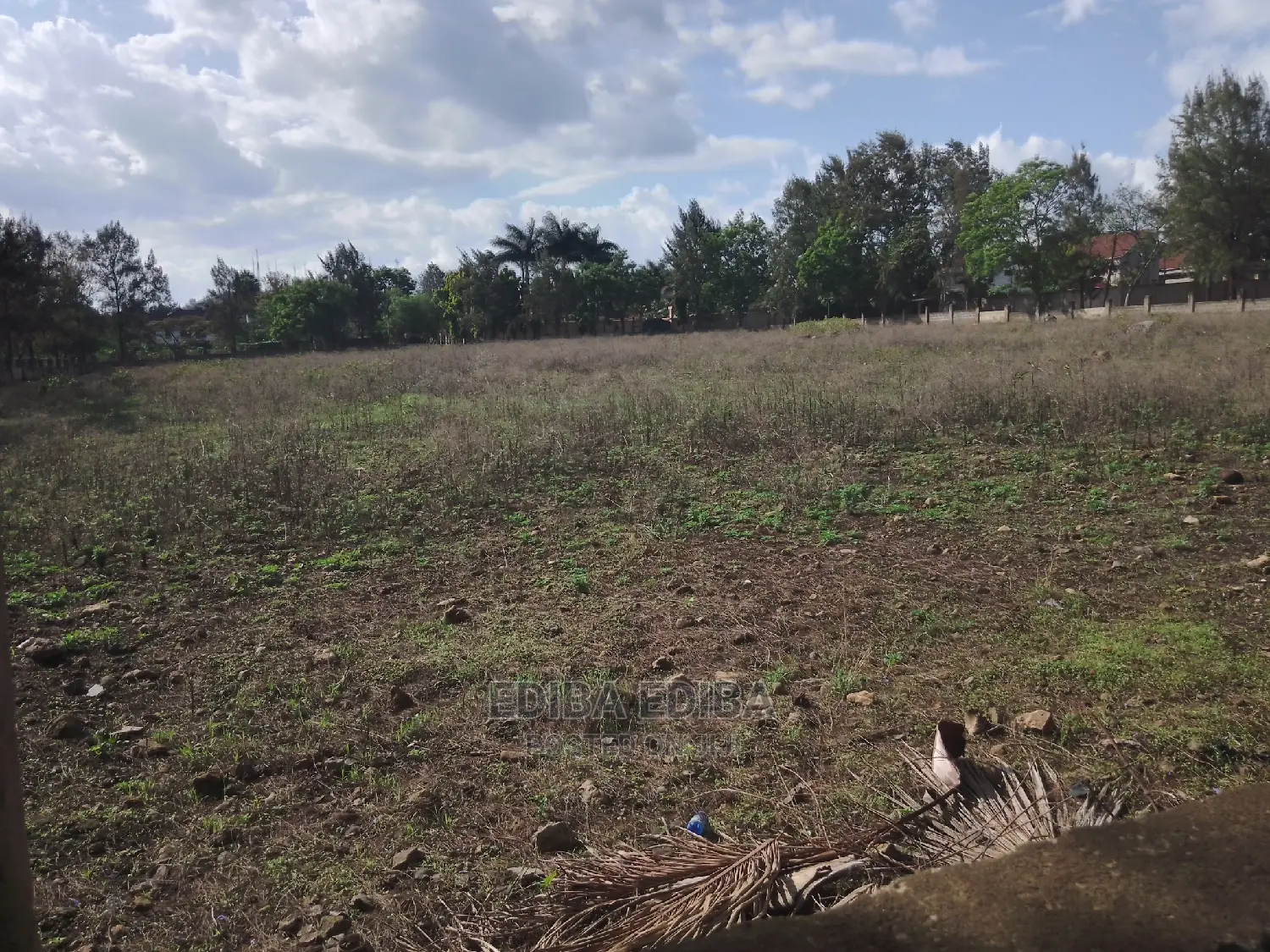 1.5 Acres on Tarmac Road Njiro