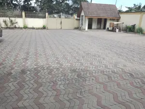 2bdrm Apartment in Ediba Real Estate, Arusha for rent