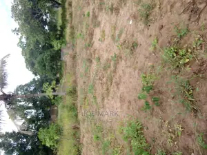 Plot for Sale Mlandizi Acasia