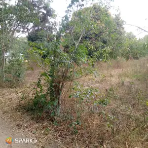 Kiwanja Kina Nyumba Tano Ndani Yake Kinauzwa Sabasaba Mwanza