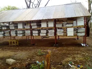 Shamba Linauzwa Farm17 Nachingwea