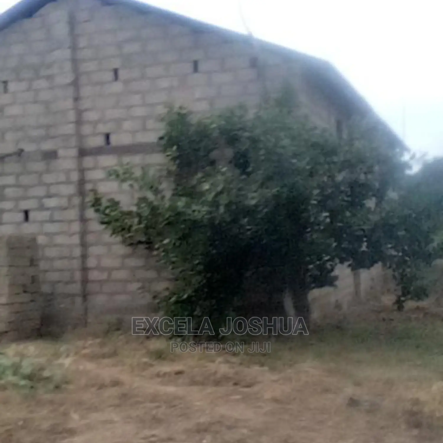 Shamba Linauzwa Farm17 Nachingwea