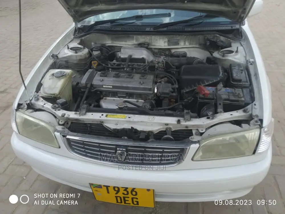 Toyota Corolla 2003 White