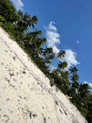 Beach Plot for Sale in Paje Mwisho, Zanzibar.