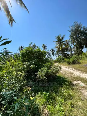 Beach Plot for Sale in Paje Mwisho, Zanzibar.