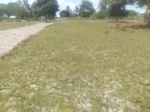 Kiwanja Kinauzwa Milioni 2.6 Ukonga Bombambili.