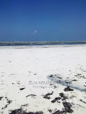 Beach Plot for Sale in Bwejuu Zanzibar.