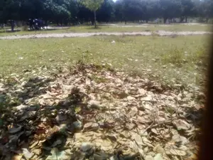 Kiwanja Kinauzwa Milioni 2.8 Ukonga Bombambili