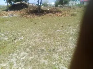 Eneo La Makazi Na Biashara Linauzwa Ml 2.2 Ukonga Bombambili