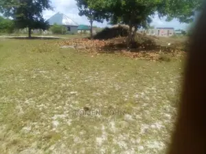 Eneo La Makazi Na Biashara Linauzwa Ml 2.2 Ukonga Bombambili