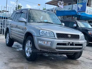 Toyota RAV4 1999 Silver