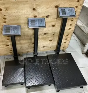 300kg Platform Digital Scale