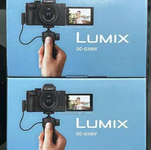 Lumix DC-G100V