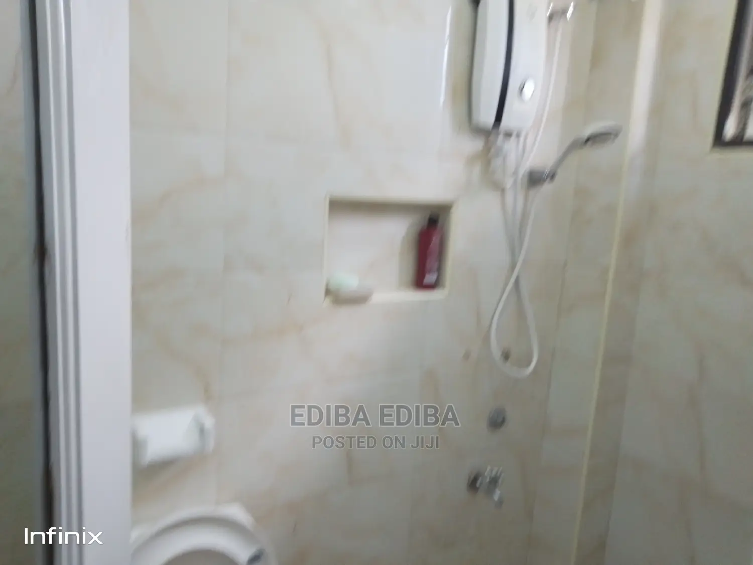 Furnished 4bdrm Apartment in Ediba Real Estate, Arusha for rent