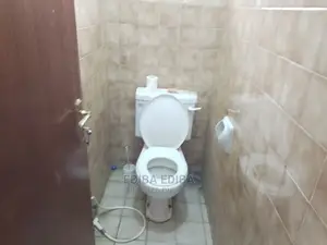 Furnished 3bdrm Apartment in Ediba Real Estate, Arusha for rent