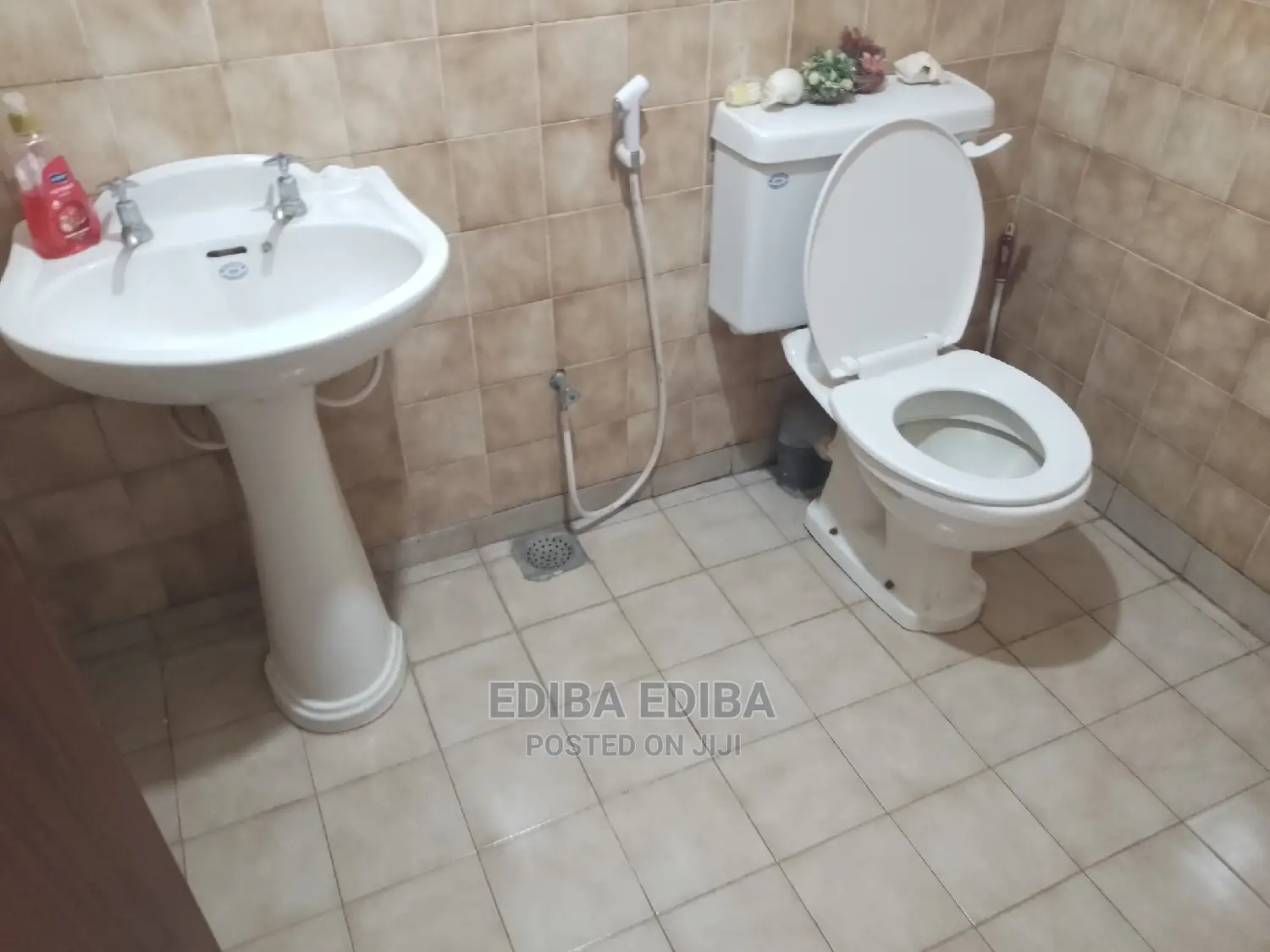 Furnished 3bdrm Apartment in Ediba Real Estate, Arusha for rent