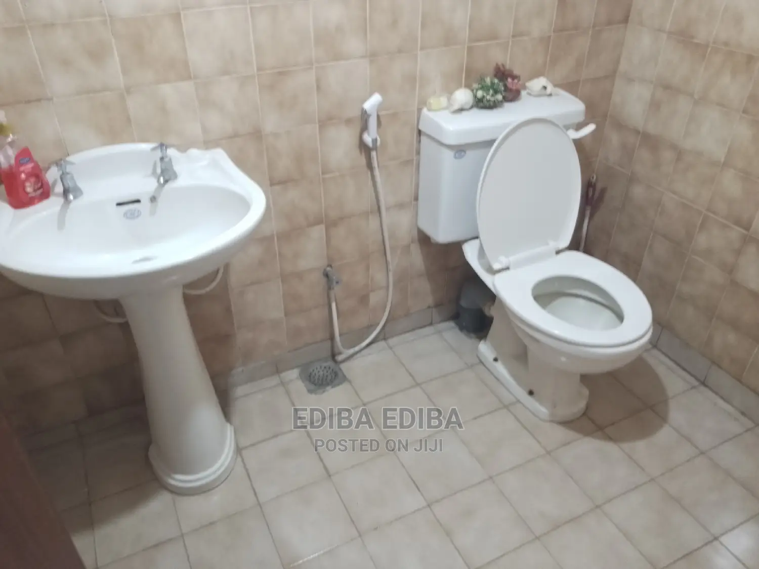 Furnished 3bdrm Apartment in Ediba Real Estate, Arusha for rent