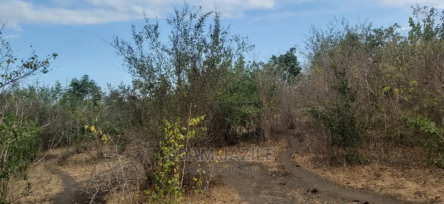 Shamba Linauzwa Bagamoyo