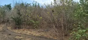 Shamba Linauzwa Bagamoyo