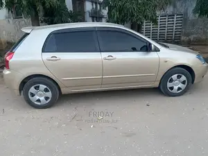 Toyota Corolla RunX 1.5 X FWD 2004 Gold
