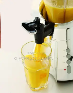 Kenwood Smoothie Blender