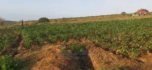 Shamba La Mtoni Linauzwa Kiwangwa Mwetemo