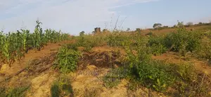 Shamba La Mtoni Linauzwa Kiwangwa Mwetemo