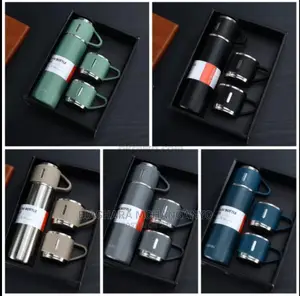 Hot And Cold Flask Set And 2 Cups