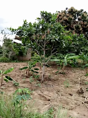 Eneo Linauzwa Kibaha