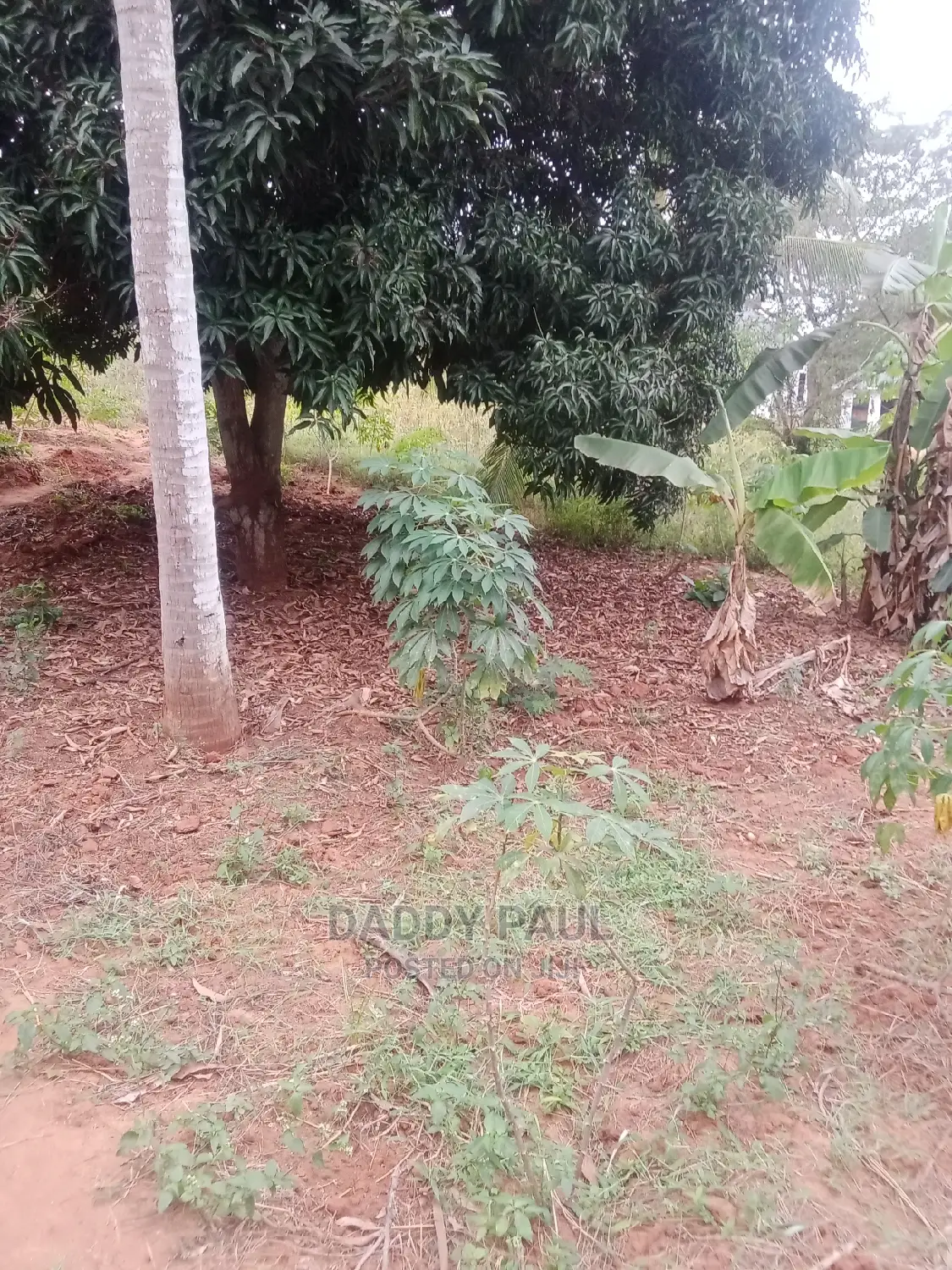 1000sqm Plot for Sale