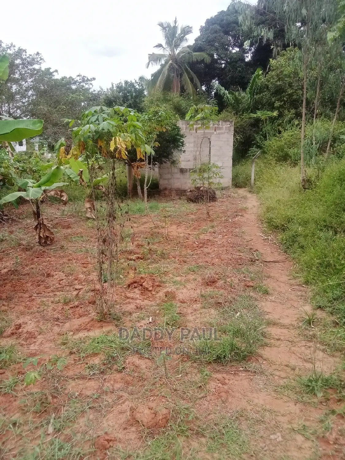 1000sqm Plot for Sale